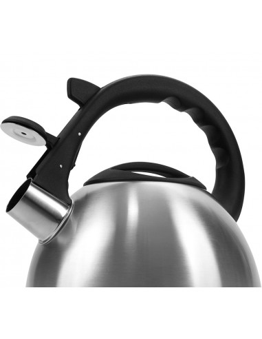 Ceainic Polaris Verde, 2,2L, Argintiu