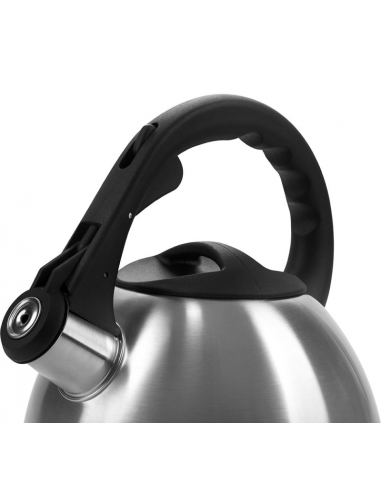 Ceainic Polaris Verde, 2,2L, Argintiu