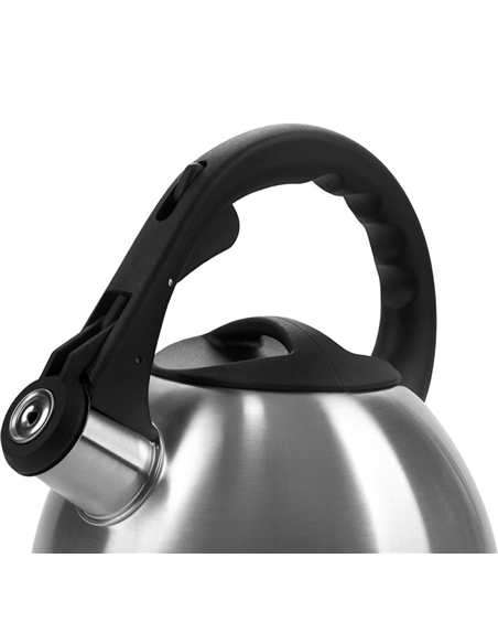 Ceainic Polaris Verde, 2,2L, Argintiu