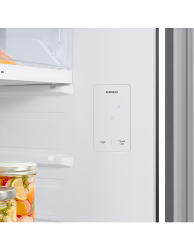 Холодильник Samsung RT47CG6442S9UA, Серебристый