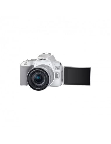 Зеркальный фотоаппарат Canon EOS 250D & EF-S 18-55mm f/3.5-5.6 IS STM KIT