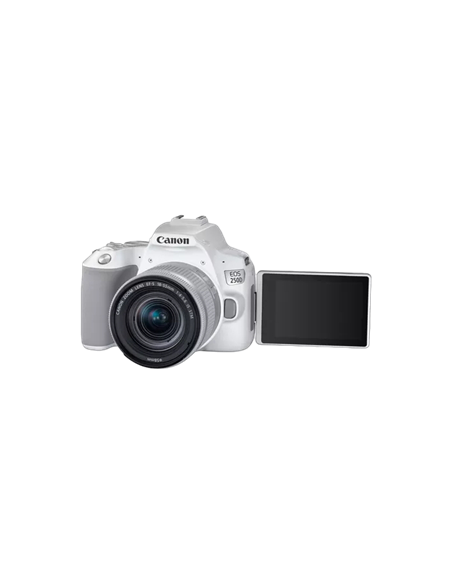 Aparat foto DSLR Canon EOS 250D & EF-S 18-55mm f/3.5-5.6 IS STM KIT