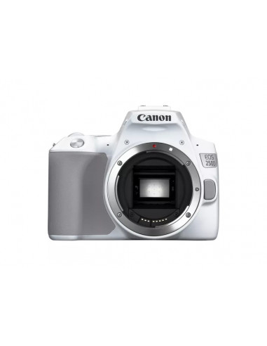 Aparat foto DSLR Canon EOS 250D & EF-S 18-55mm f/3.5-5.6 IS STM KIT