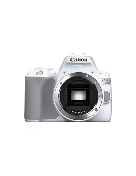 Aparat foto DSLR Canon EOS 250D & EF-S 18-55mm f/3.5-5.6 IS STM KIT