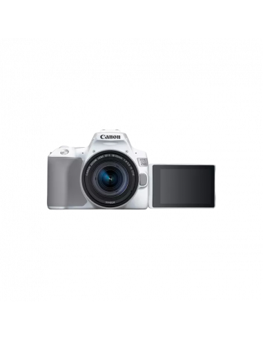 Aparat foto DSLR Canon EOS 250D & EF-S 18-55mm f/3.5-5.6 IS STM KIT