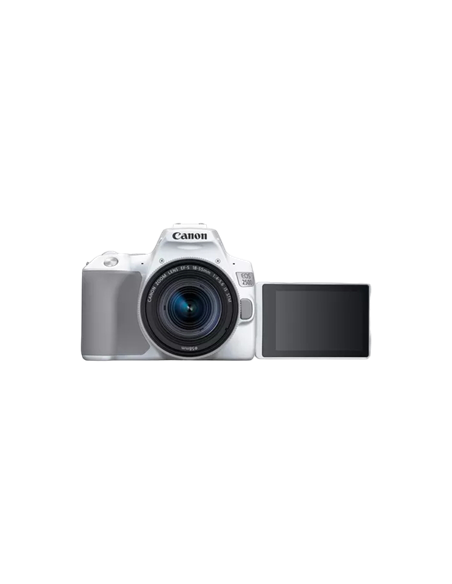 Aparat foto DSLR Canon EOS 250D & EF-S 18-55mm f/3.5-5.6 IS STM KIT