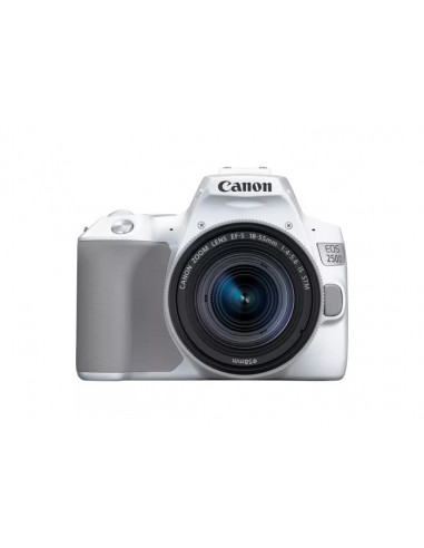 Aparat foto DSLR Canon EOS 250D & EF-S 18-55mm f/3.5-5.6 IS STM KIT