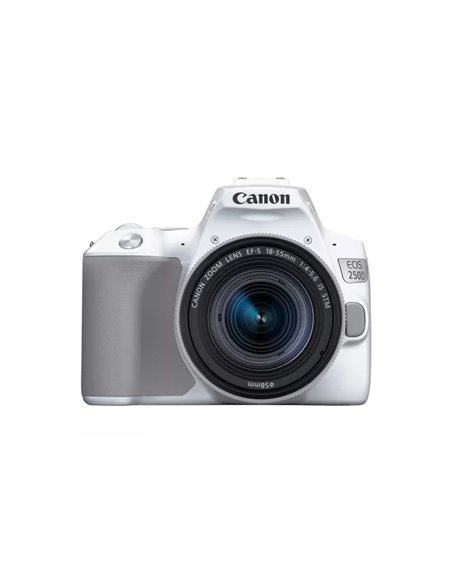 Aparat foto DSLR Canon EOS 250D & EF-S 18-55mm f/3.5-5.6 IS STM KIT