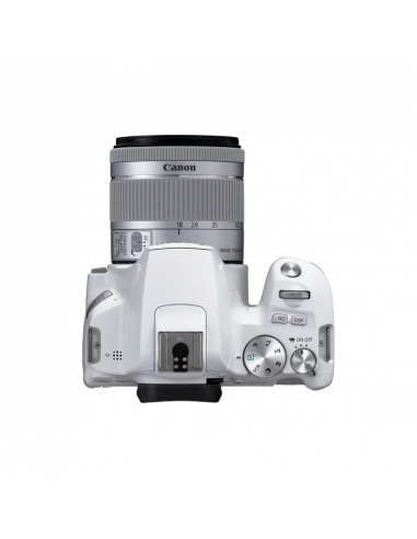 Aparat foto DSLR Canon EOS 250D & EF-S 18-55mm f/3.5-5.6 IS STM KIT