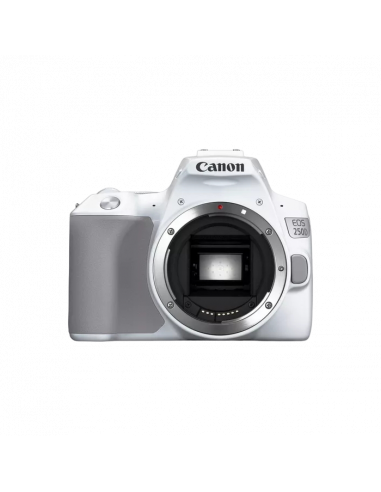 Aparat foto DSLR Canon EOS 250D & EF-S 18-55mm f/3.5-5.6 IS STM KIT