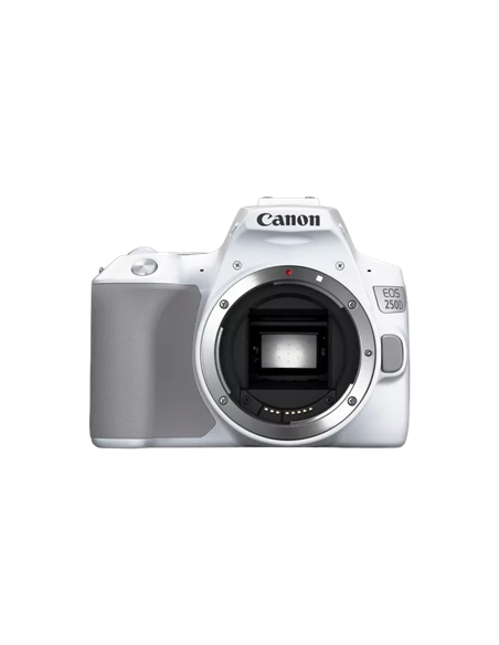 Зеркальный фотоаппарат Canon EOS 250D & EF-S 18-55mm f/3.5-5.6 IS STM KIT
