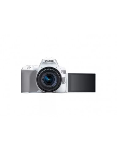 Aparat foto DSLR Canon EOS 250D & EF-S 18-55mm f/3.5-5.6 IS STM KIT