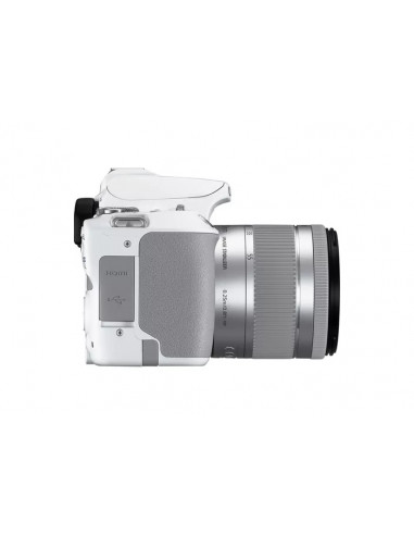 Aparat foto DSLR Canon EOS 250D & EF-S 18-55mm f/3.5-5.6 IS STM KIT