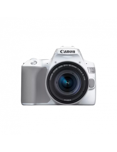 Зеркальный фотоаппарат Canon EOS 250D & EF-S 18-55mm f/3.5-5.6 IS STM KIT