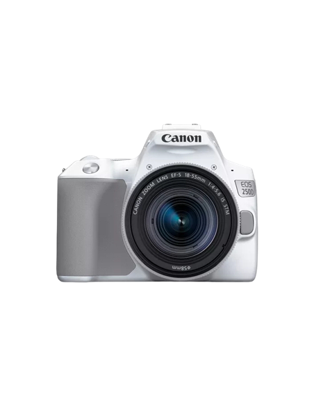 Aparat foto DSLR Canon EOS 250D & EF-S 18-55mm f/3.5-5.6 IS STM KIT