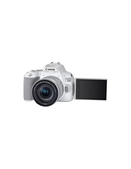 Зеркальный фотоаппарат Canon EOS 250D & EF-S 18-55mm f/3.5-5.6 IS STM KIT