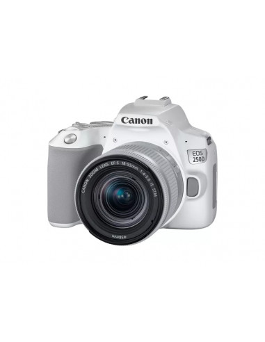Aparat foto DSLR Canon EOS 250D & EF-S 18-55mm f/3.5-5.6 IS STM KIT