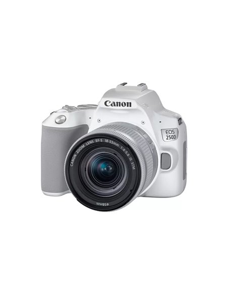 Aparat foto DSLR Canon EOS 250D & EF-S 18-55mm f/3.5-5.6 IS STM KIT