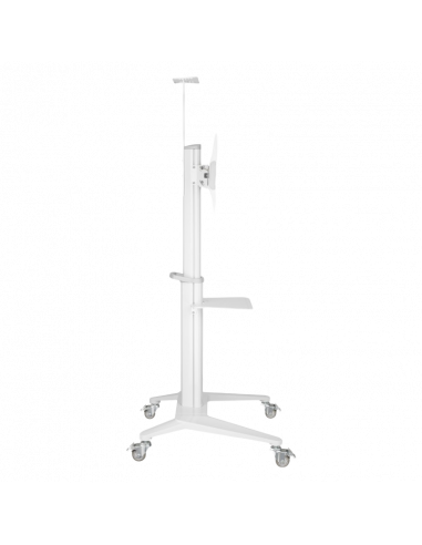Подставка под телевизор на ножке Reflecta TV Stand 70VCP-Shelf, White, Белый