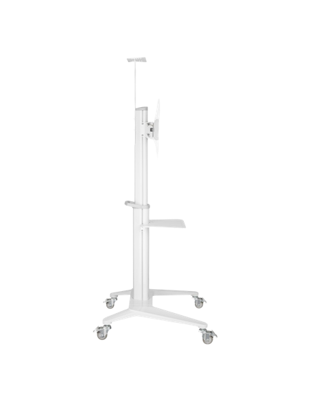 Подставка под телевизор на ножке Reflecta TV Stand 70VCP-Shelf, White, Белый