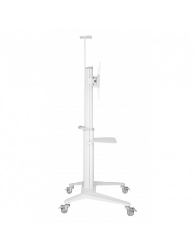 Подставка под телевизор на ножке Reflecta TV Stand 70VCP-Shelf, White, Белый