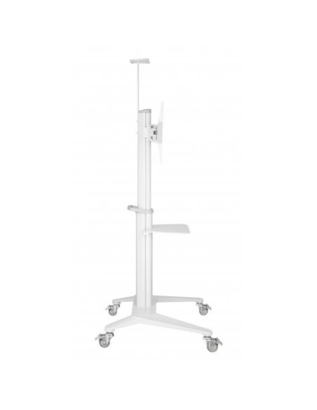 Подставка под телевизор на ножке Reflecta TV Stand 70VCP-Shelf, White, Белый