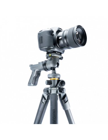 Tripied Foto-Video Vanguard ALTA PRO2+ 263AGH, Cap trepied de minge, Gri