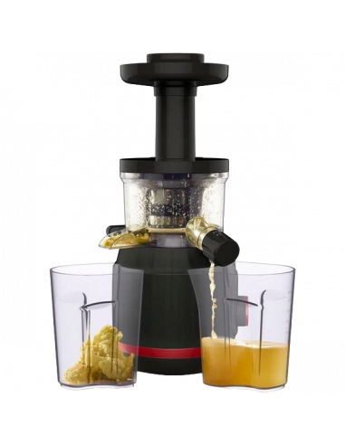 Storcător de fructe și legume Tefal ZC150838, Negru