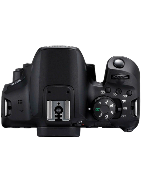 Зеркальный фотоаппарат Canon EOS 850D Body