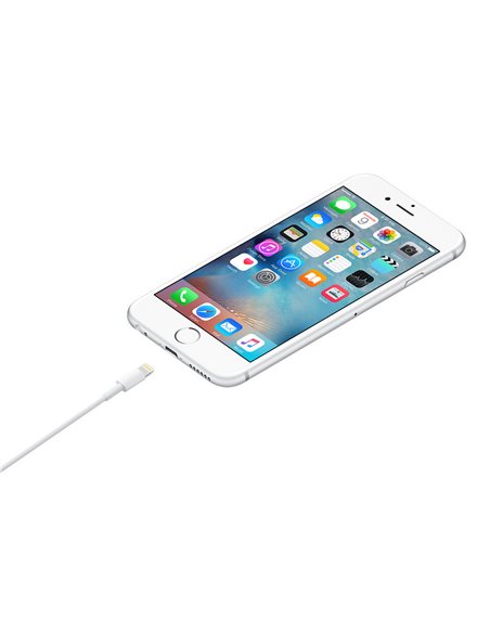 Cablu încărcare și sincronizare Apple A1480, USB Type-A/Lightning, 1m, Alb Cablu încărcare și sincronizare Apple A1480, USB Type-A/Lightning, 1m, Alb
