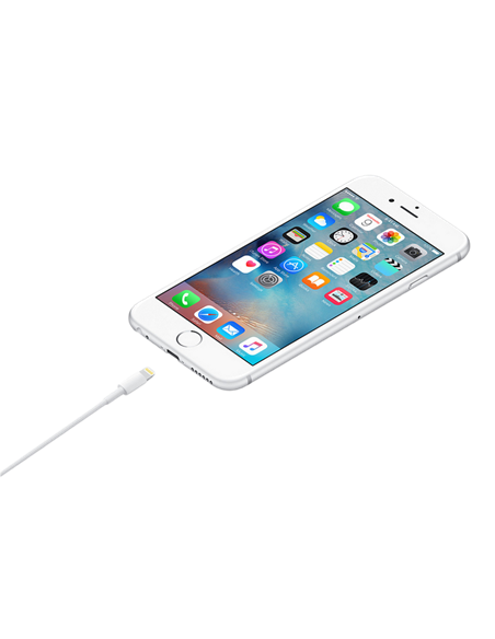 Cablu încărcare și sincronizare Apple A1480, USB Type-A/Lightning, 1m, Alb Cablu încărcare și sincronizare Apple A1480, USB Type-A/Lightning, 1m, Alb