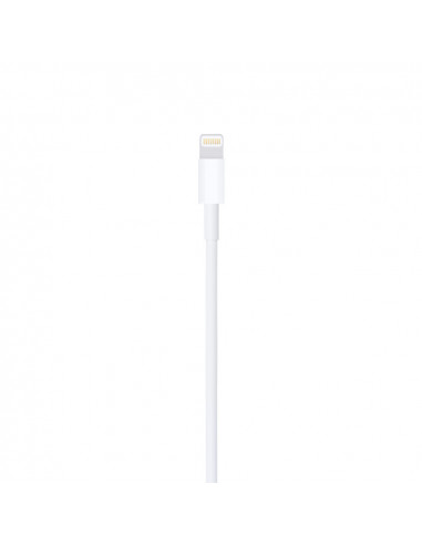 Кабель для зарядки и синхронизации Apple A1480, USB Type-A/Lightning, 1м, Белый