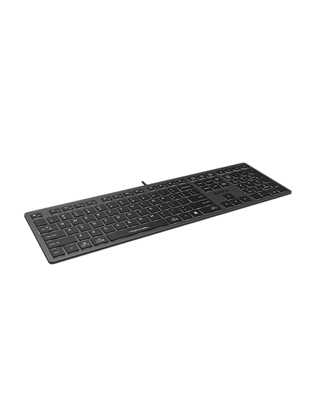 Клавиатура A4Tech FX60, Проводное, Серый