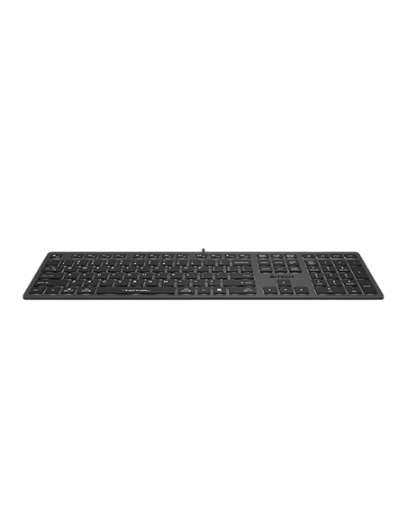 Клавиатура A4Tech FX60, Проводное, Серый