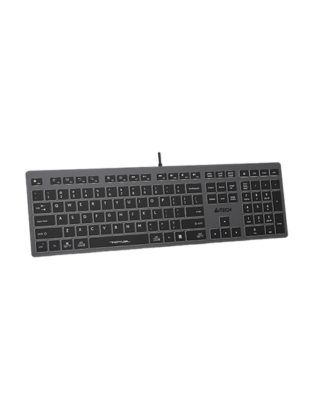 Tastatură A4Tech FX60, Cu fir, Gri