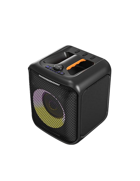 Boxă portabilă F&D PA100, Negru