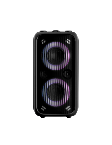 Portable Audio System F&D PA200, 80W, 11.1V/8000mAh, IPX4, TWS, Bluetooth/USB/AUX, 1*Wireless mic