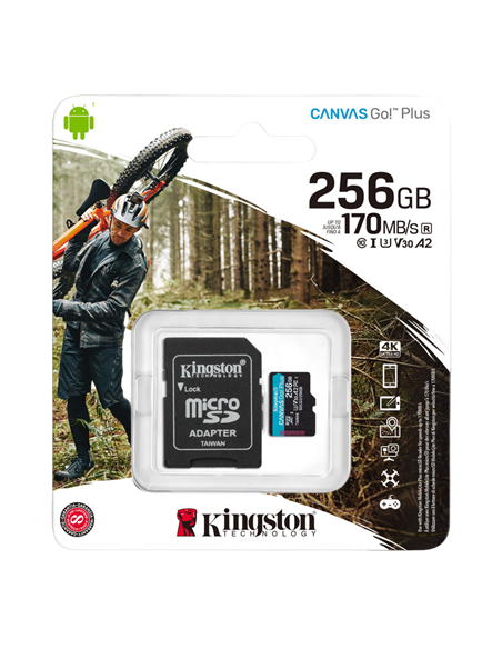 Card de Memorie Kingston Canvas Go! Plus, 256GB (SDCG3/256GB)