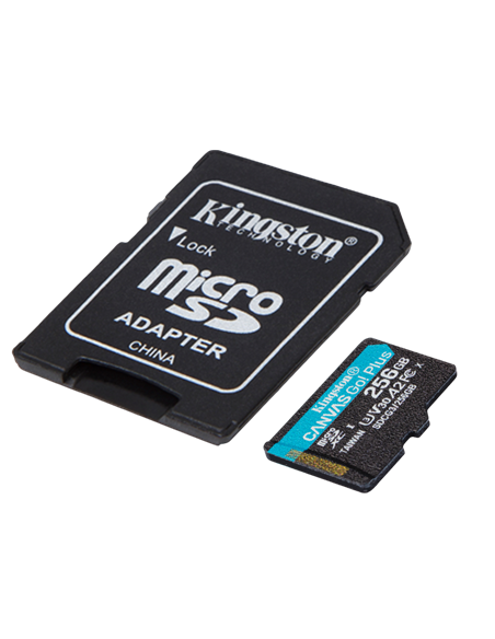 Карта памяти Kingston Canvas Go! Plus, 256Гб (SDCG3/256GB)