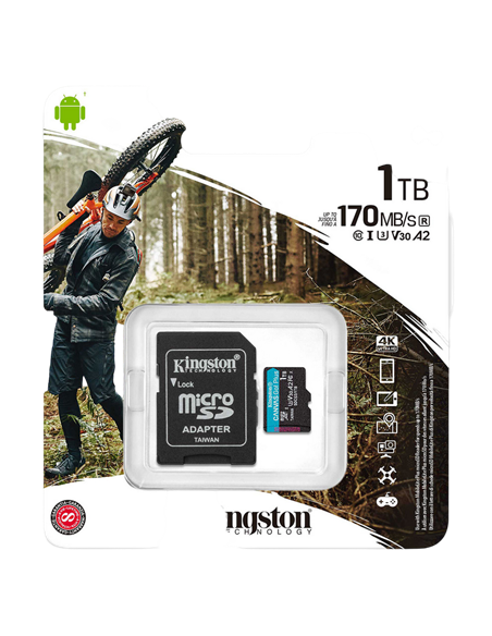 Card de Memorie Kingston Canvas Go! Plus, 1024GB (SDCG3/1TB)