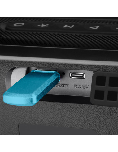 Портативная колонка с микрофоном SVEN PS-255 / 12W RMS / FM tuner / USB / Black