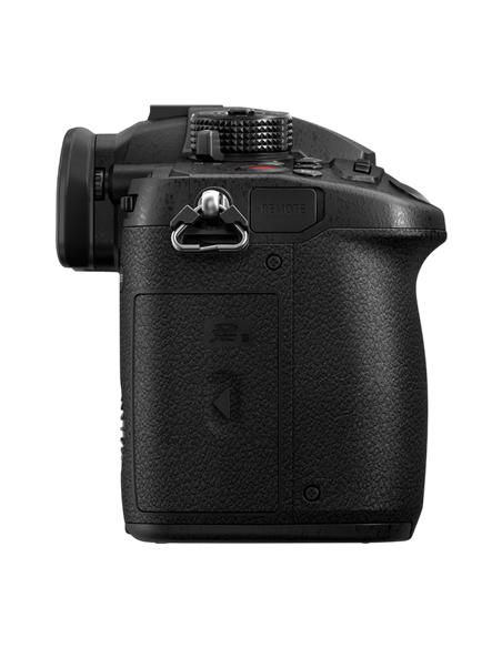 Aparat Foto Mirrorless Panasonic DC-GH5M2EE