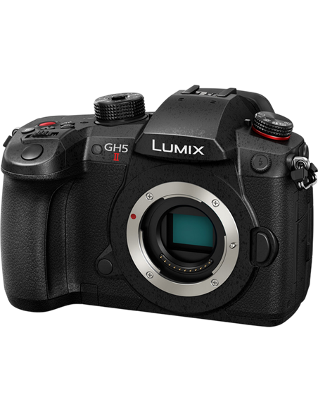 Беззеркальный фотоаппарат Panasonic DC-GH5M2EE