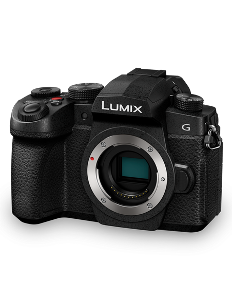 Aparat Foto Mirrorless Panasonic DC-G97E