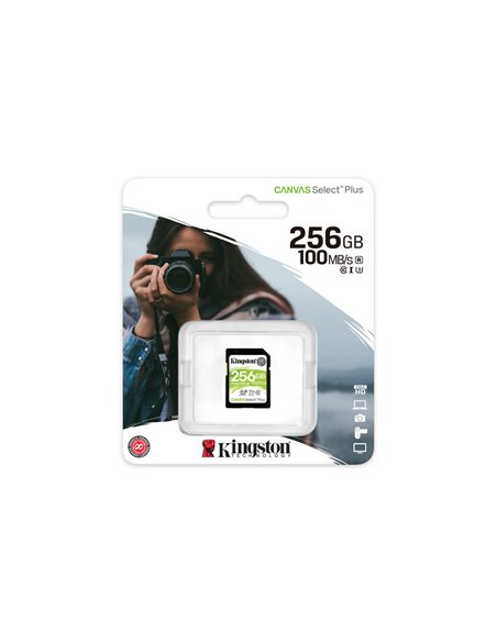 Карта памяти Kingston Canvas Select Plus, 256Гб (SDS2/256GB)