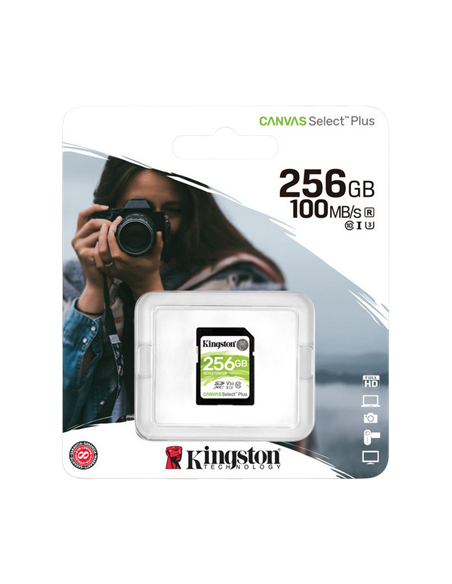 Карта памяти Kingston Canvas Select Plus, 256Гб (SDS2/256GB)