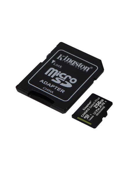 Карта памяти Kingston Canvas Select+, 256Гб (SDCS2/256GB)